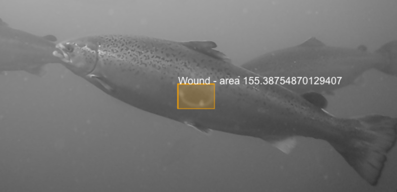 ABIOMASS capture.png