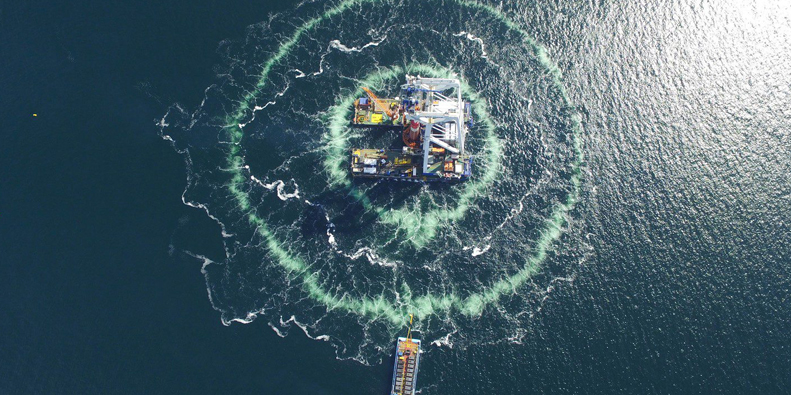Making the Arkona offshore wind farm safe for marine life