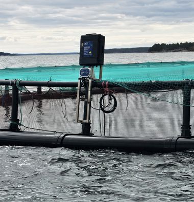 Ace technology keeps seals away, says Finnish trout farmer