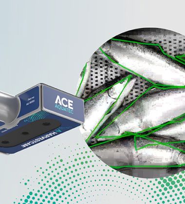 A-HARVESTCAM® brings real-time AI intelligence to primary processing