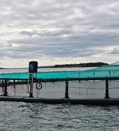 Biomass technology rises to the challenge in Tasmania’s testing conditions