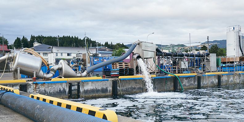 Stunner delivers stress free fish – and staff – in Japan