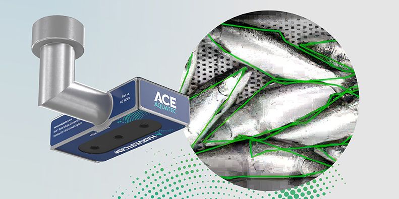 A-HARVESTCAM® brings real-time AI intelligence to primary processing