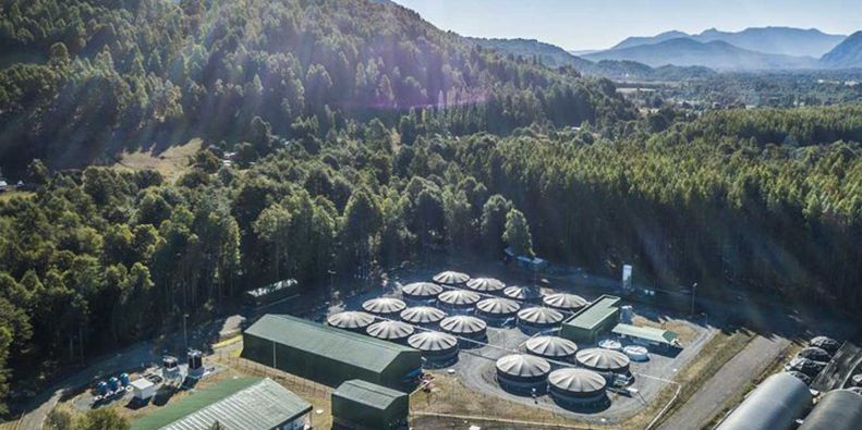 Proyecto de mapeo de crecimiento de Ace Aquatec muestra patrones de éxito