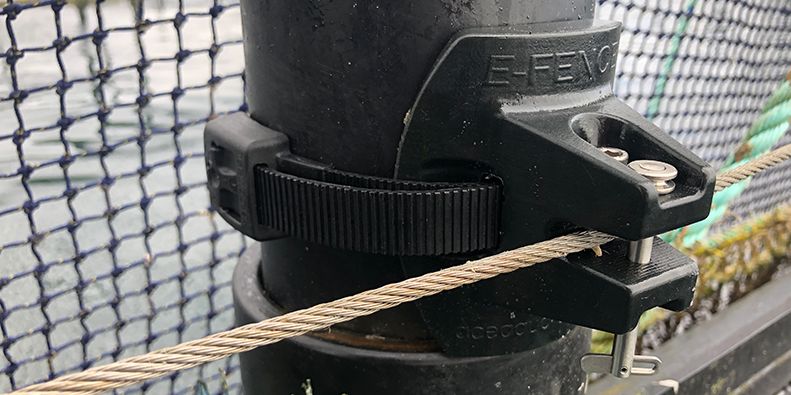 Electric fence concept trains seals to stay away