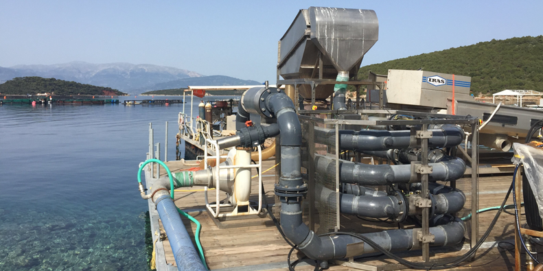 Ace Aquatec selected as Global Aquaculture Alliance Innovation Award finalist