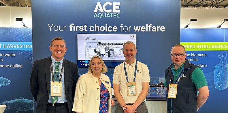 Ace Aquatec and Aquascot collaborate to embed artificial intelligence using specialist cameras into fish processing