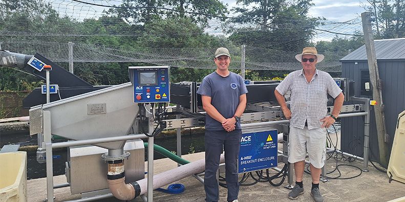 How Ace Aquatec's A-HSU® is improving trout welfare, fillet yields and harvest efficiency at Britford Trout Farm