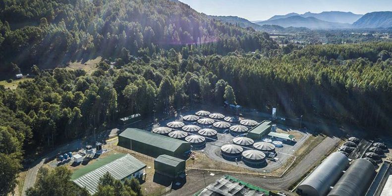 Growth mapping project from Ace Aquatec shows patterns of success