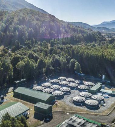 Growth mapping project from Ace Aquatec shows patterns of success